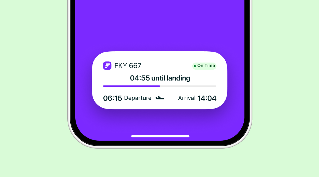 Image of a flight tracker in progress