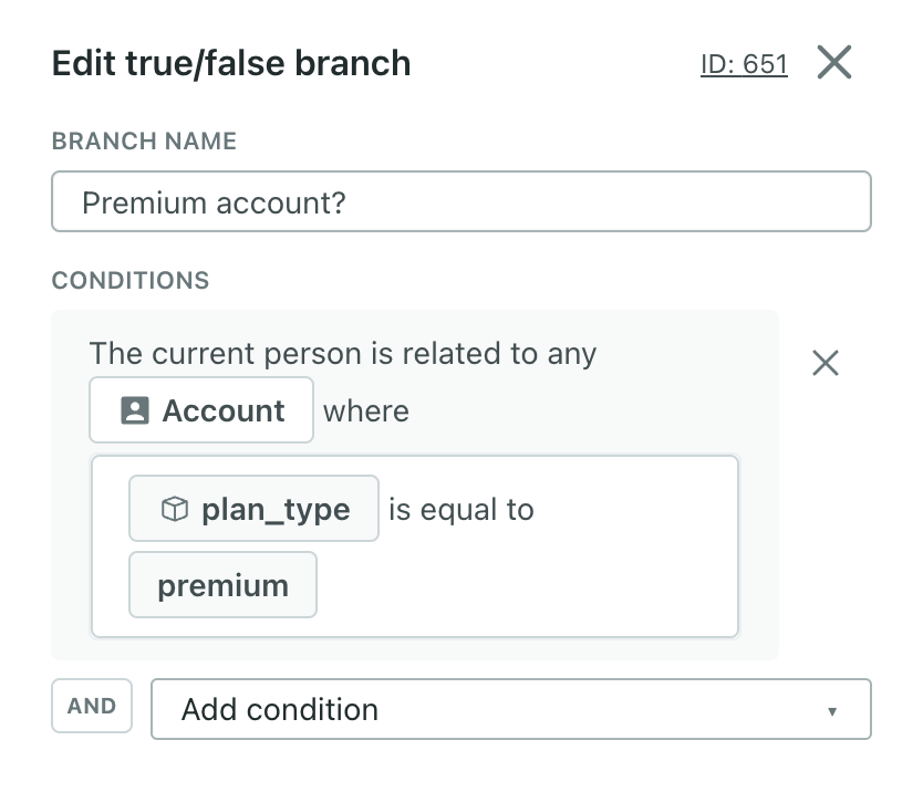 branch-true-false-relationship-condition-any-campaign.png