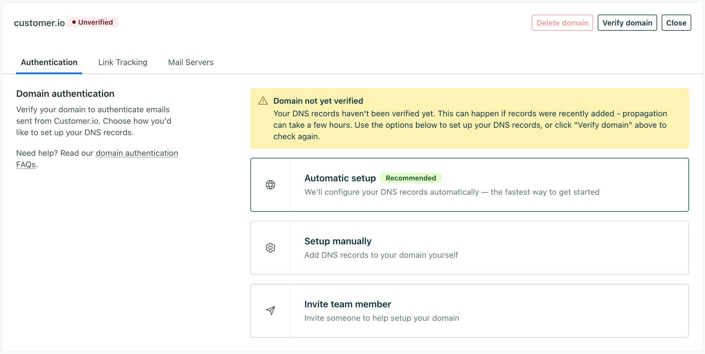 a new email domain showing the automatic setup option