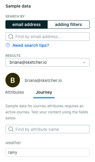 preview of journey attribute data
